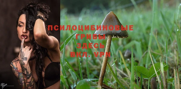 a pvp Володарск